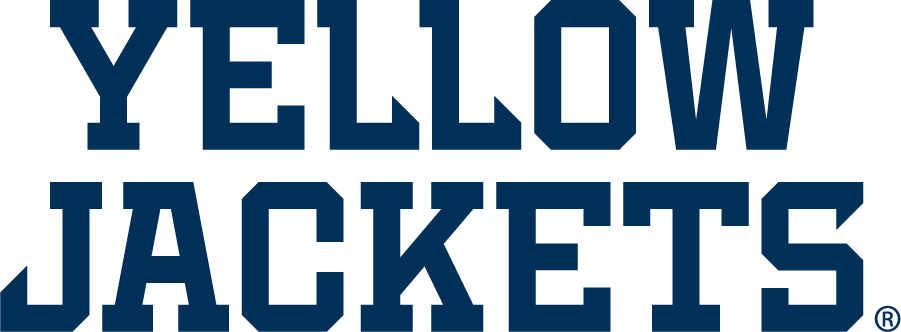 Georgia Tech Yellow Jackets 2022-Pres Wordmark Logo diy iron on heat transfer